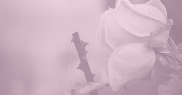 reclaiming anger as sacred, returning to yourself