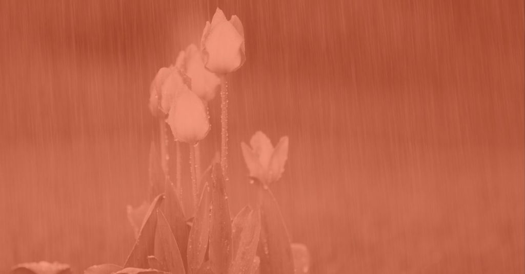 The Difference Between Waiting and Unfolding, Love Letter Creative