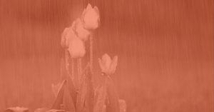 The Difference Between Waiting and Unfolding, Love Letter Creative