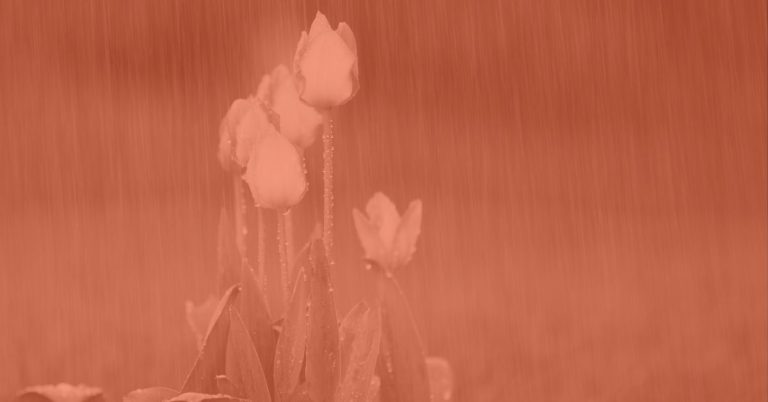 The Difference Between Waiting and Unfolding, Love Letter Creative