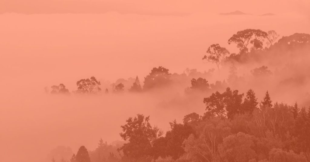 Love Letter Creative, When the Fog Rolls In