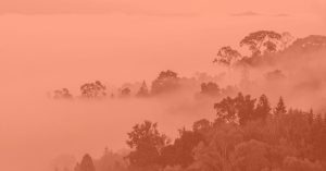 Love Letter Creative, When the Fog Rolls In