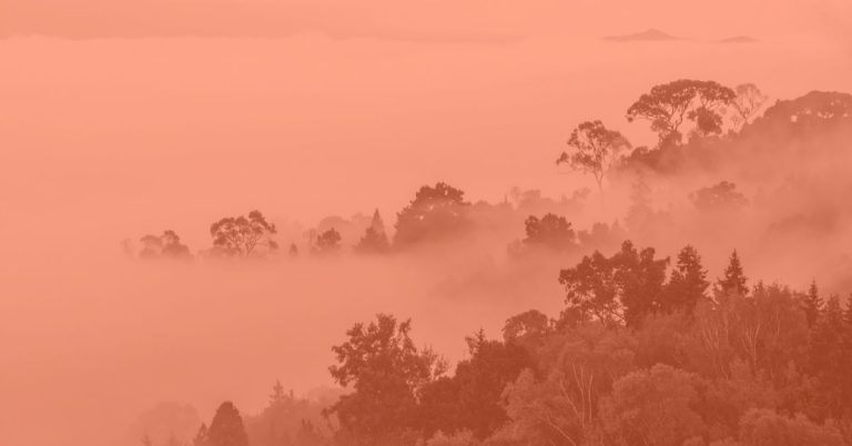 Love Letter Creative, When the Fog Rolls In